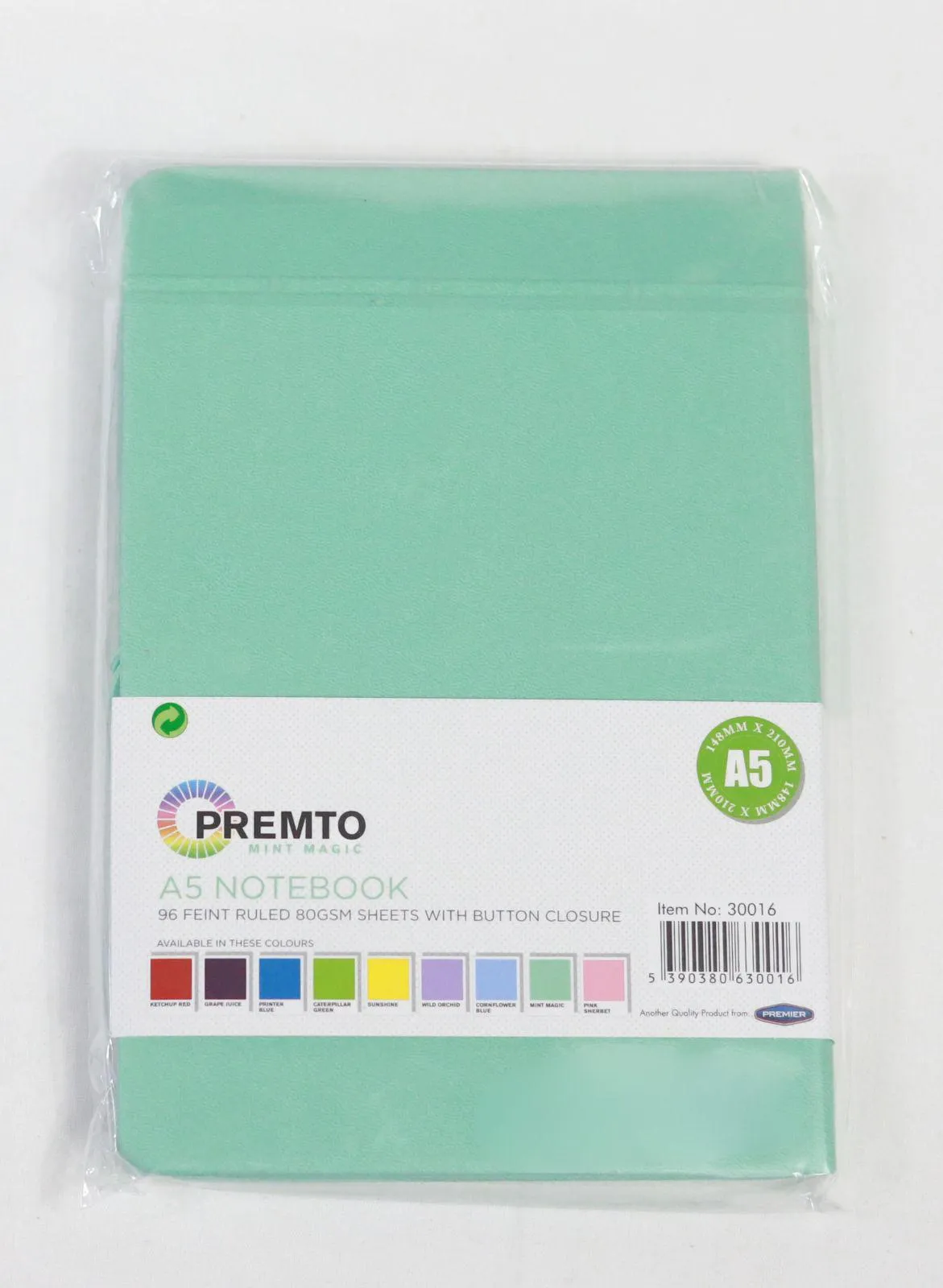 ■ Premto - A5 192 Page Hardcover Pu Notebook With Elastic - Mint Magic