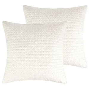 Assisi Mint Euro Sham 2pk