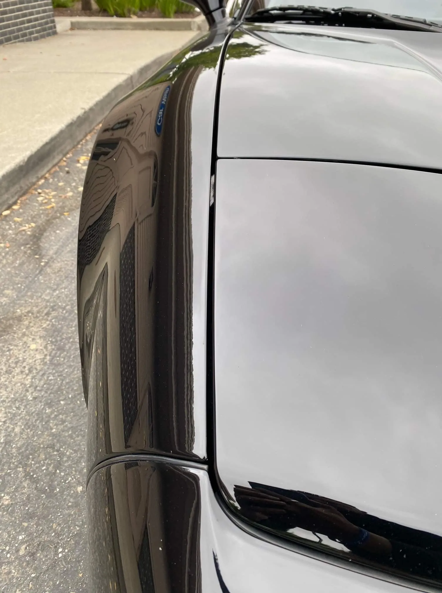 ATR Front Fenders  20mm - Dry Carbon