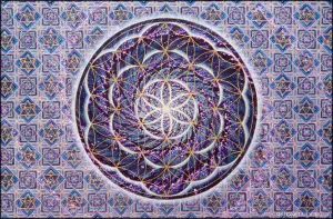 Blossoming Activation - Canvas Prints
