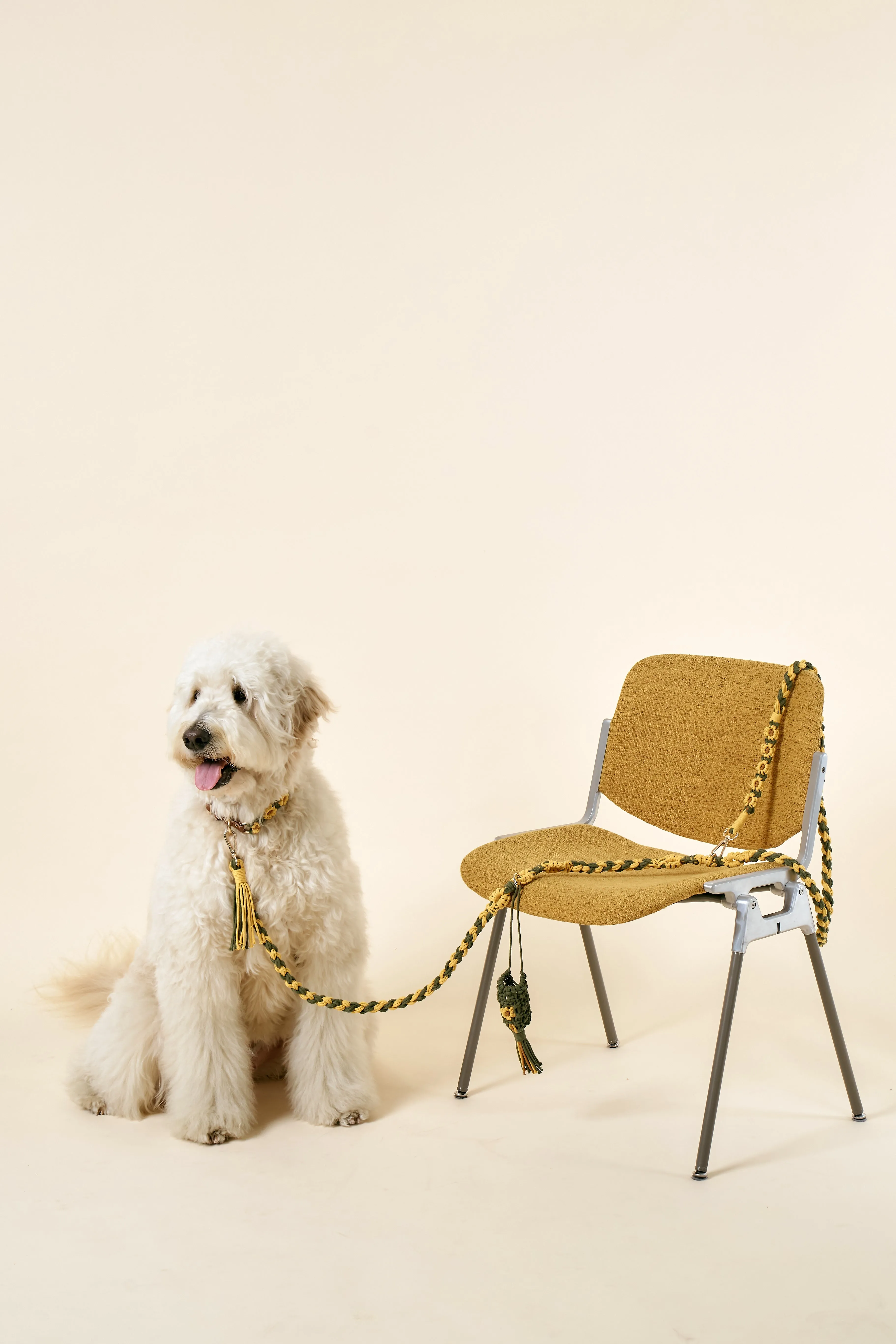 [COSONNE] Flower Macrame Neck Collar(for pet)