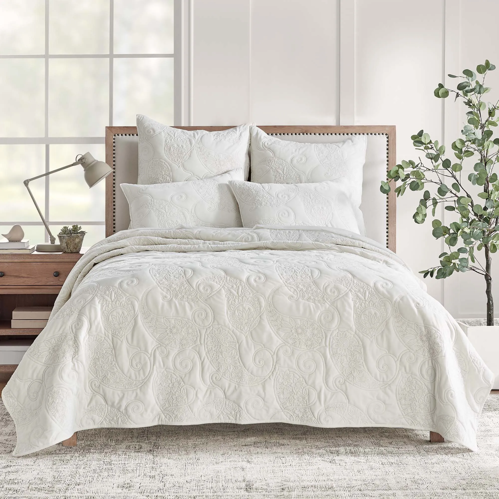 Cream Velvet Euro Sham Set of 2
