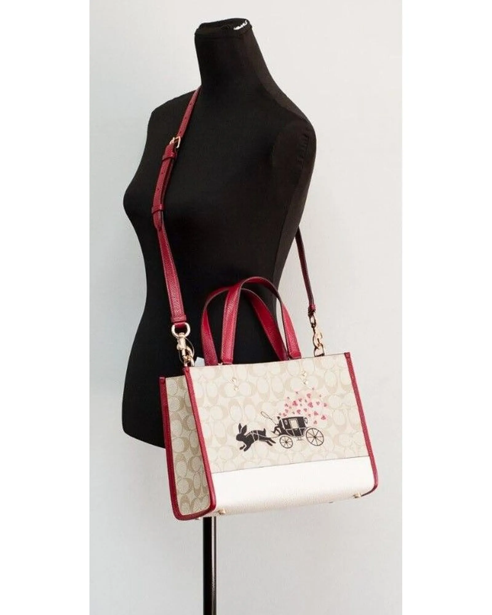 Dempsey Medium Lunar New Year Print Carryall Tote Handbag One Size Women