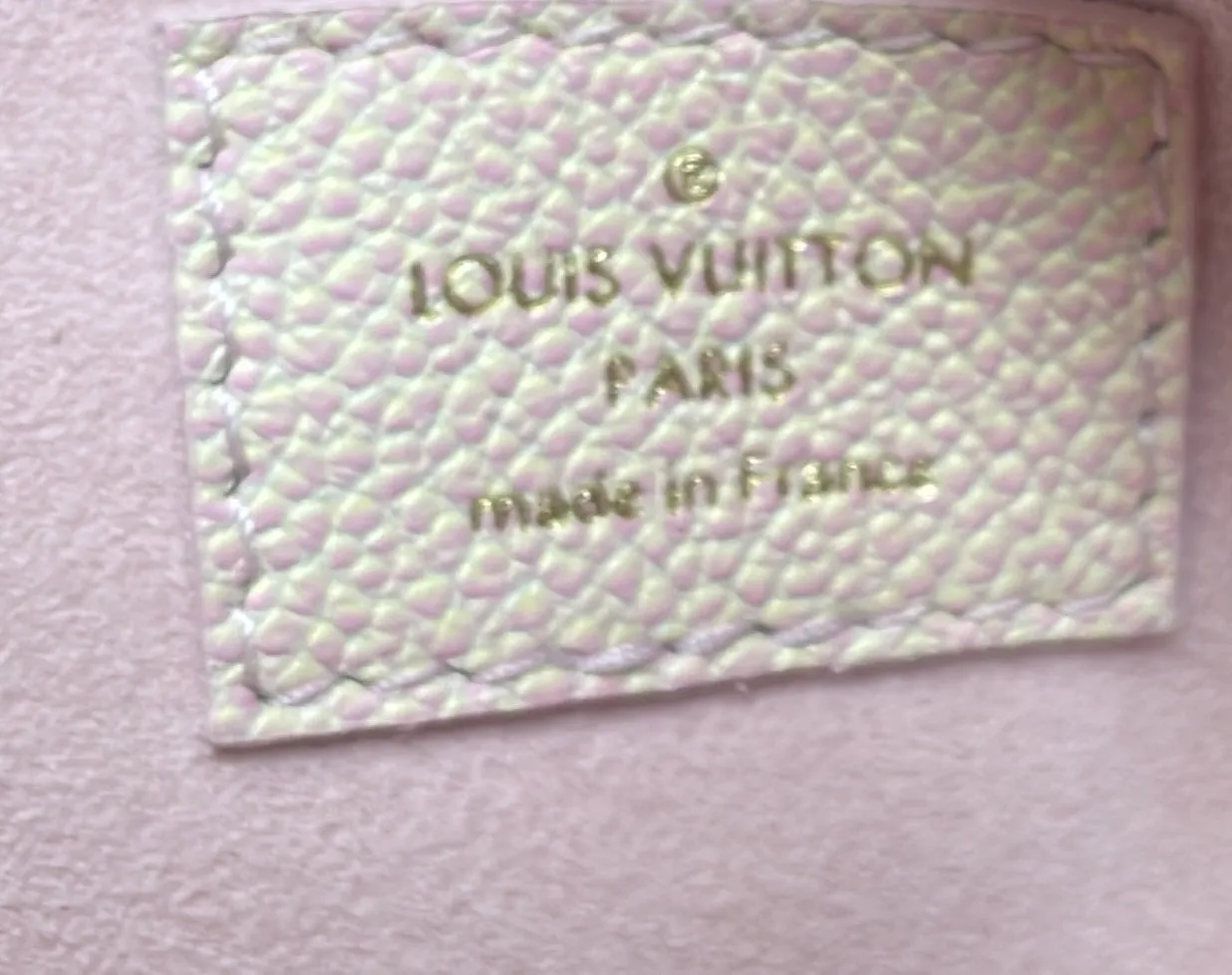 Designer Multi Pochette Accessoires Stardust Monogram Empreinte Leather