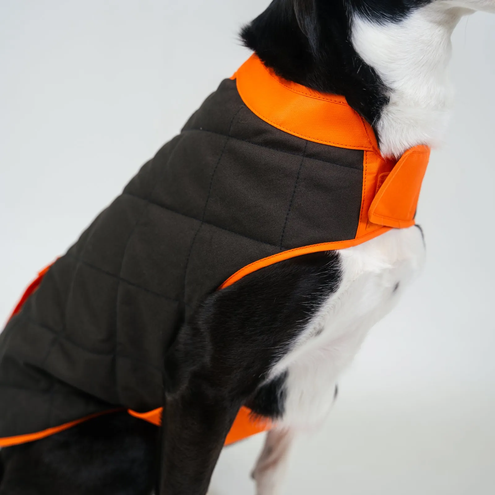 Dog's Highland Dog vest