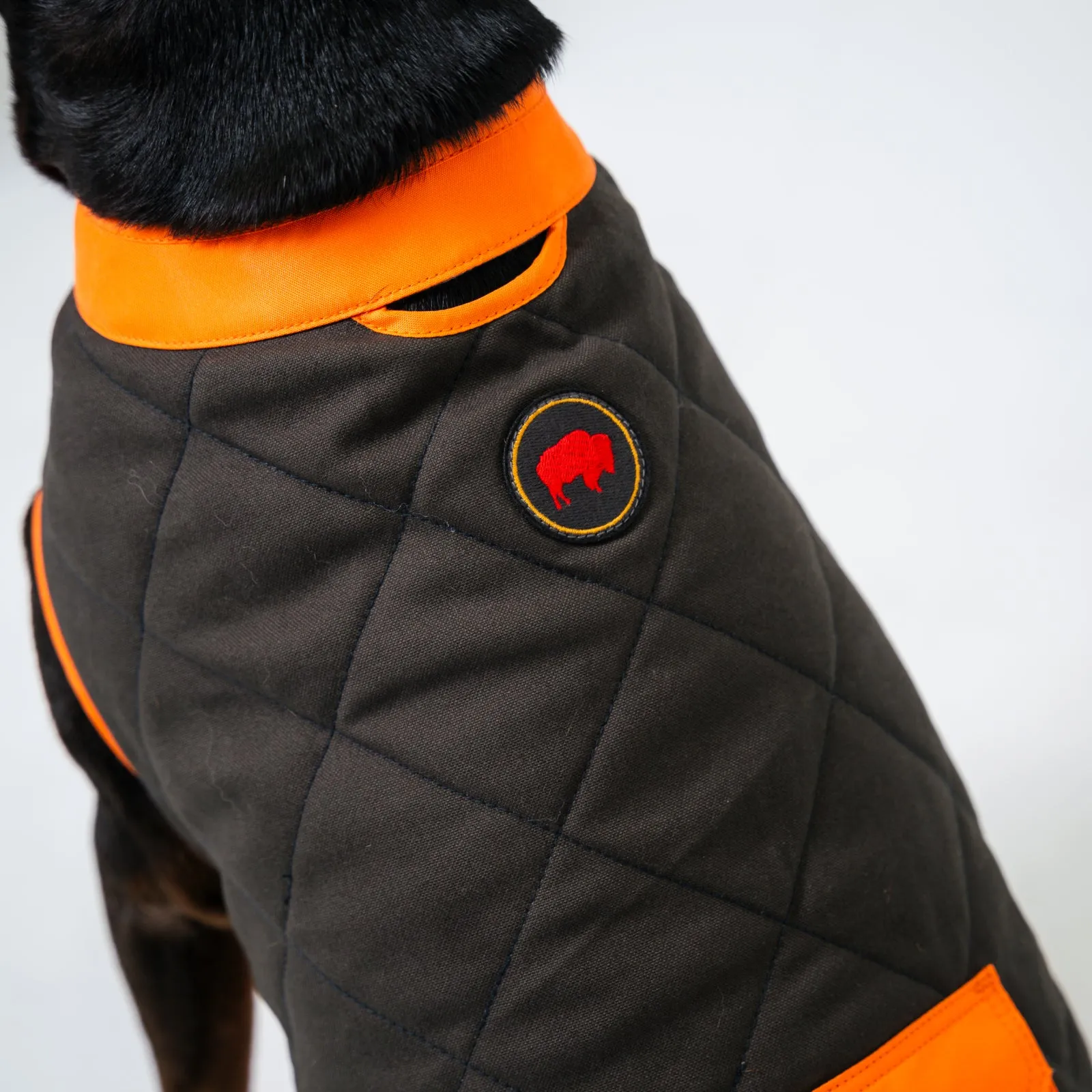 Dog's Highland Dog vest
