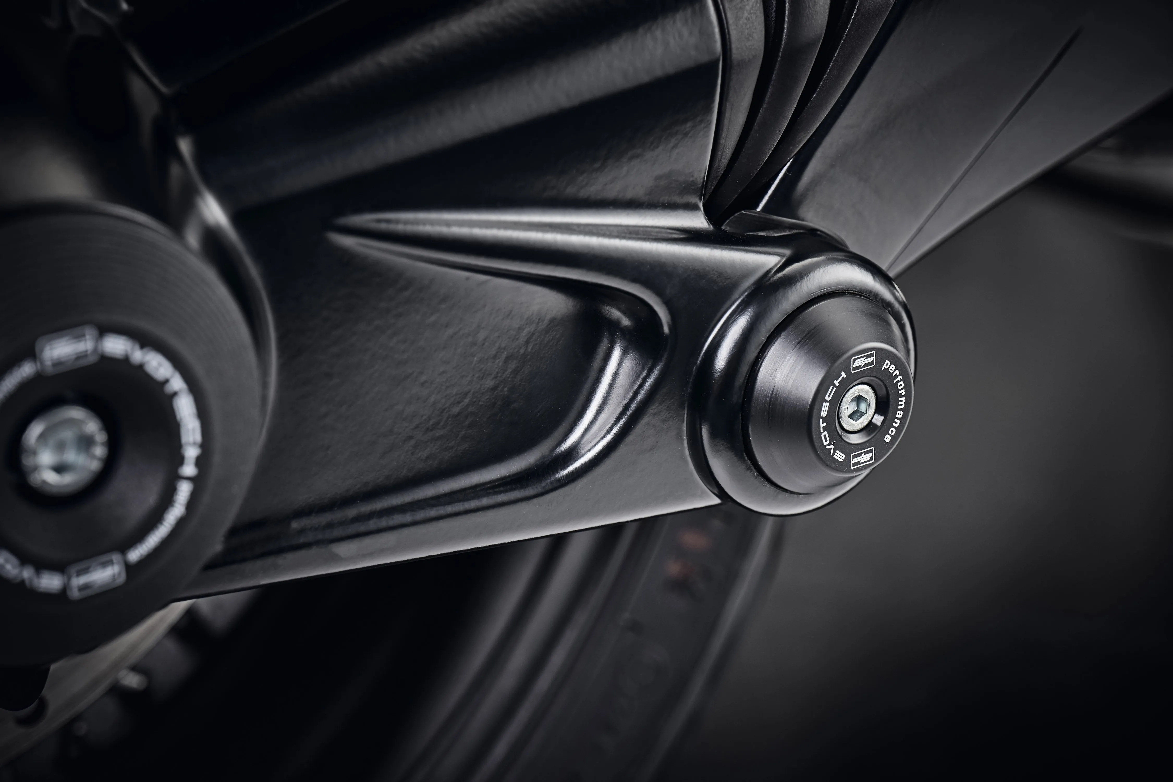 Evotech Swingarm Protection - BMW R 1300 GS Option 719 Tramuntana (2024 )