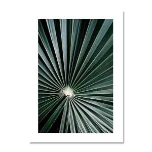 Green Cactus Wall Art