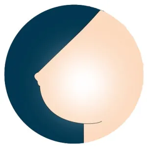 HR  Breast Option - Hollow Breasts