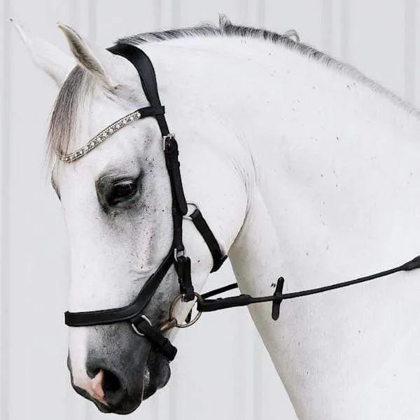 Lumiere Azure Micklem Bridle (L29GROUP)