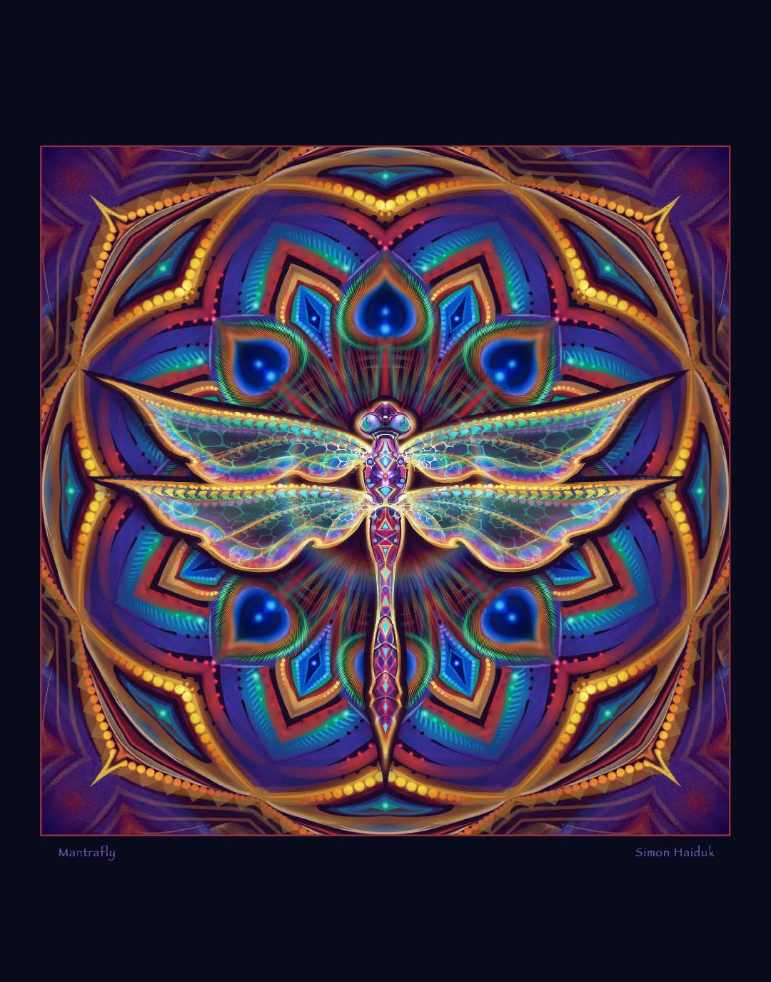 Mantrafly   Antidote Album