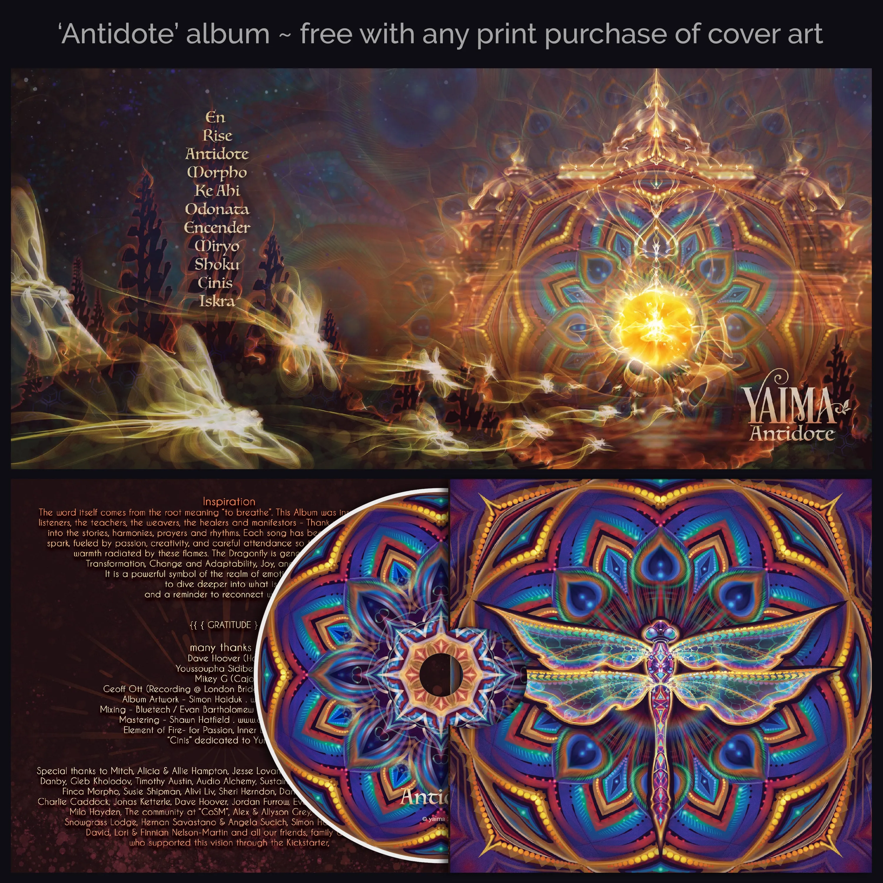 Mantrafly   Antidote Album