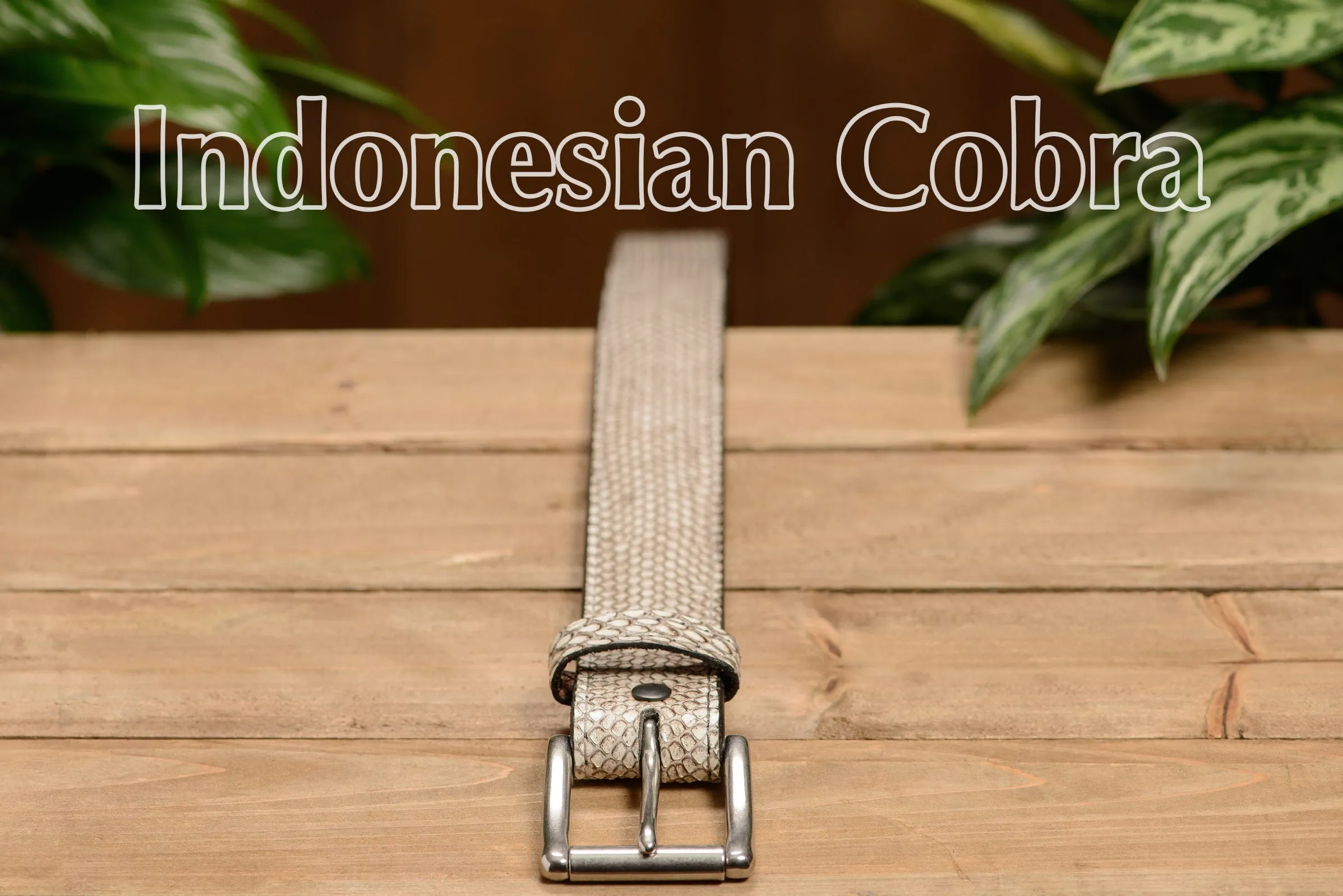 Men's Indonesian Spitting Cobra Max Thickness Belt