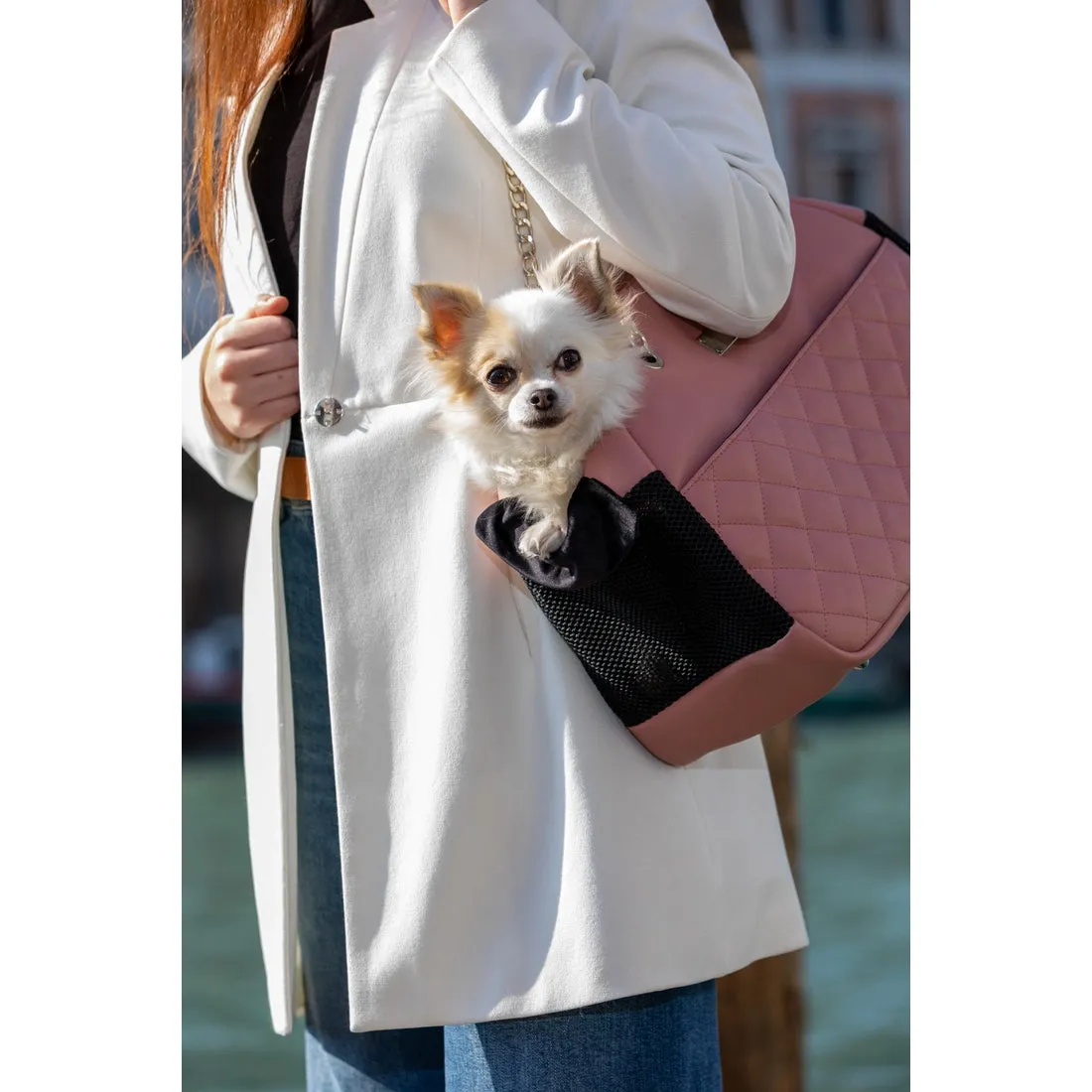 Nina Venezia Coco Carriers