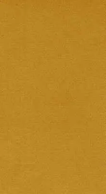 Novasuede-40