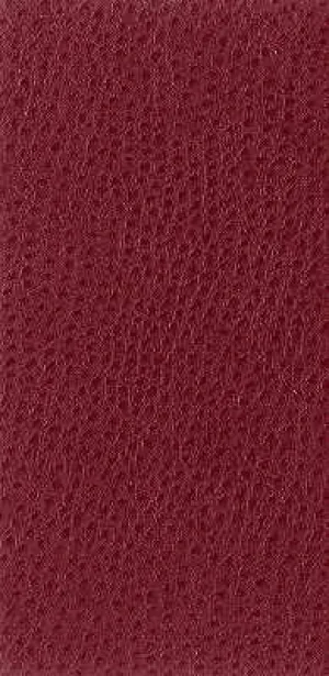 Nuostrich-9