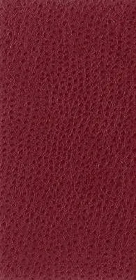 Nuostrich-9