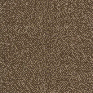 Stingray-Bronze