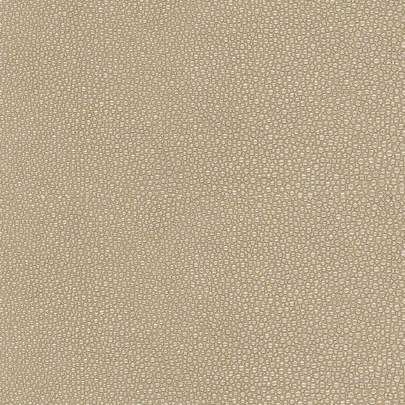 Stingray-Cavern
