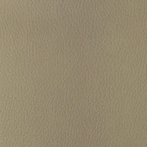 Sugarmaple-16