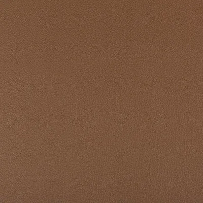 Syrus-Brunette