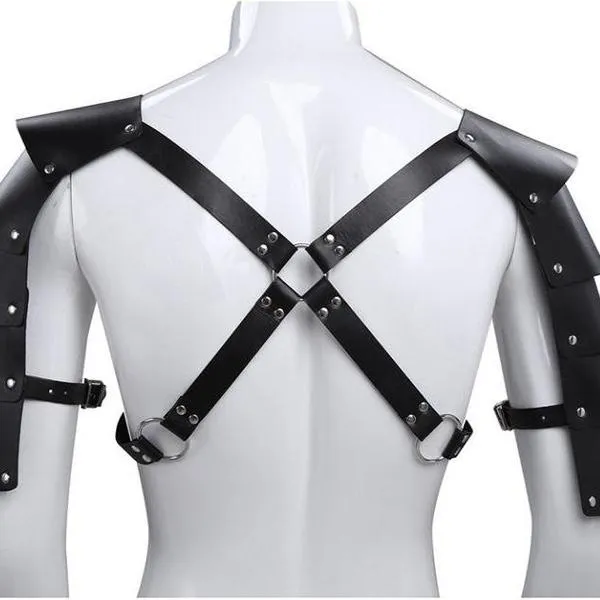 The Phoenix Harness