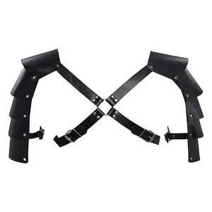 The Phoenix Harness
