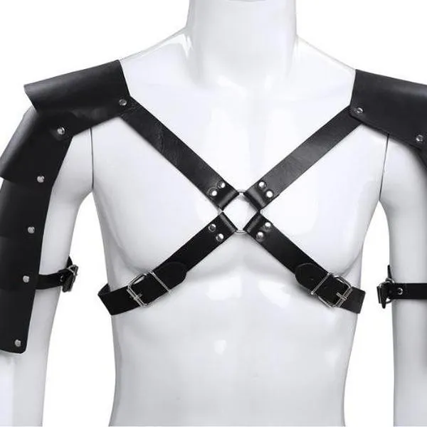 The Phoenix Harness