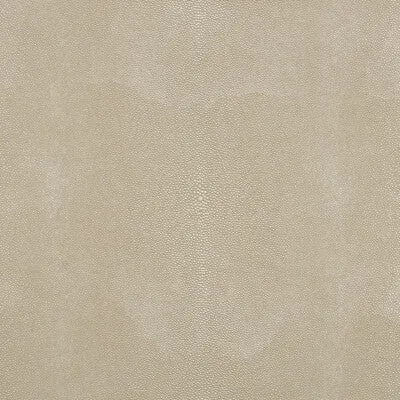 TREZZO-106