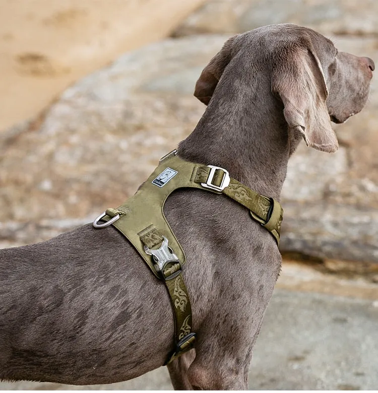 True Love Lightweight Dog Harness - Green, M