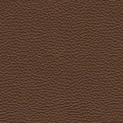 VonRyan PWR Recliner/ADJ Headrest