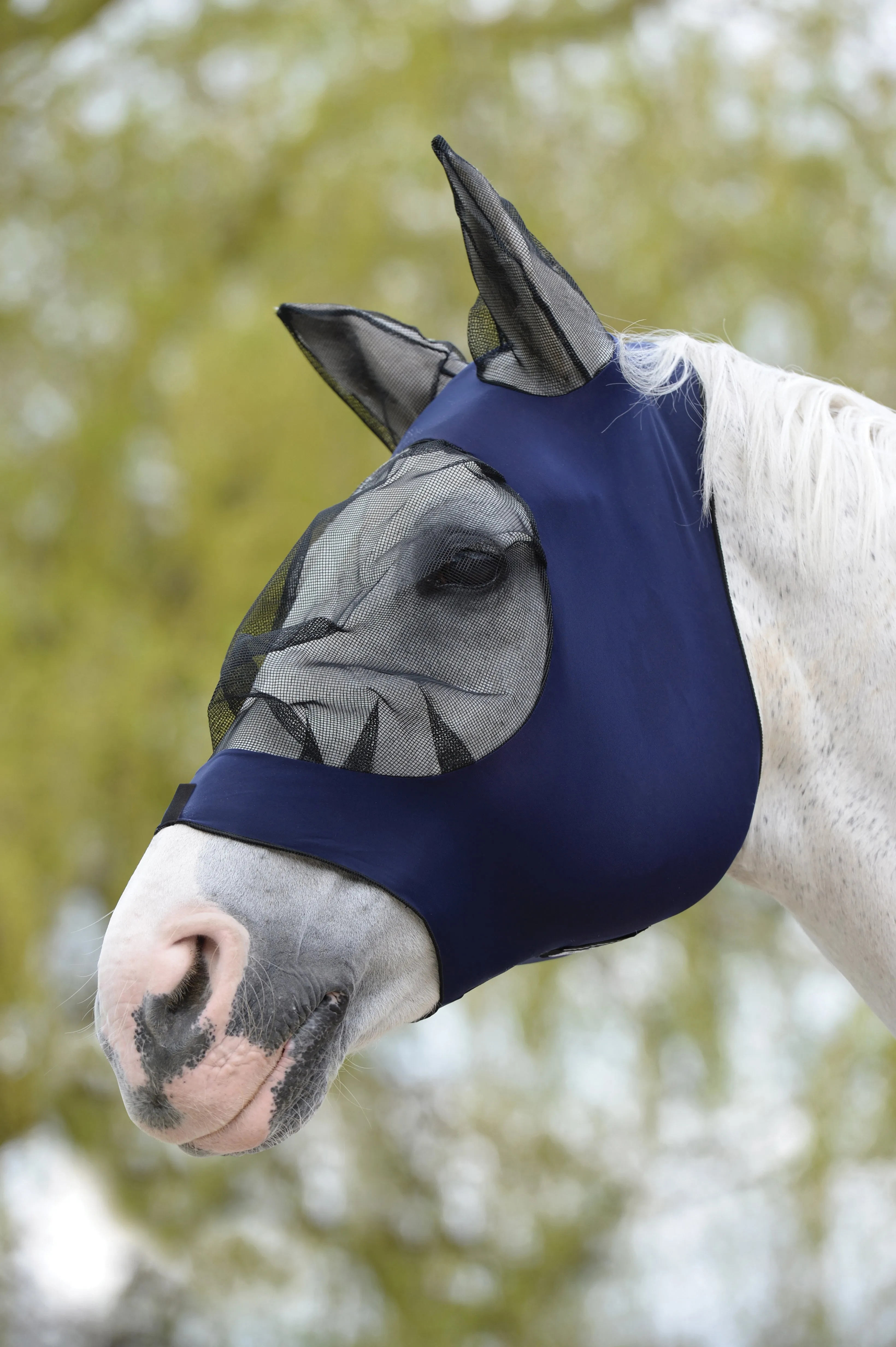 Weatherbeeta Stretch Eye Saver with Ears
