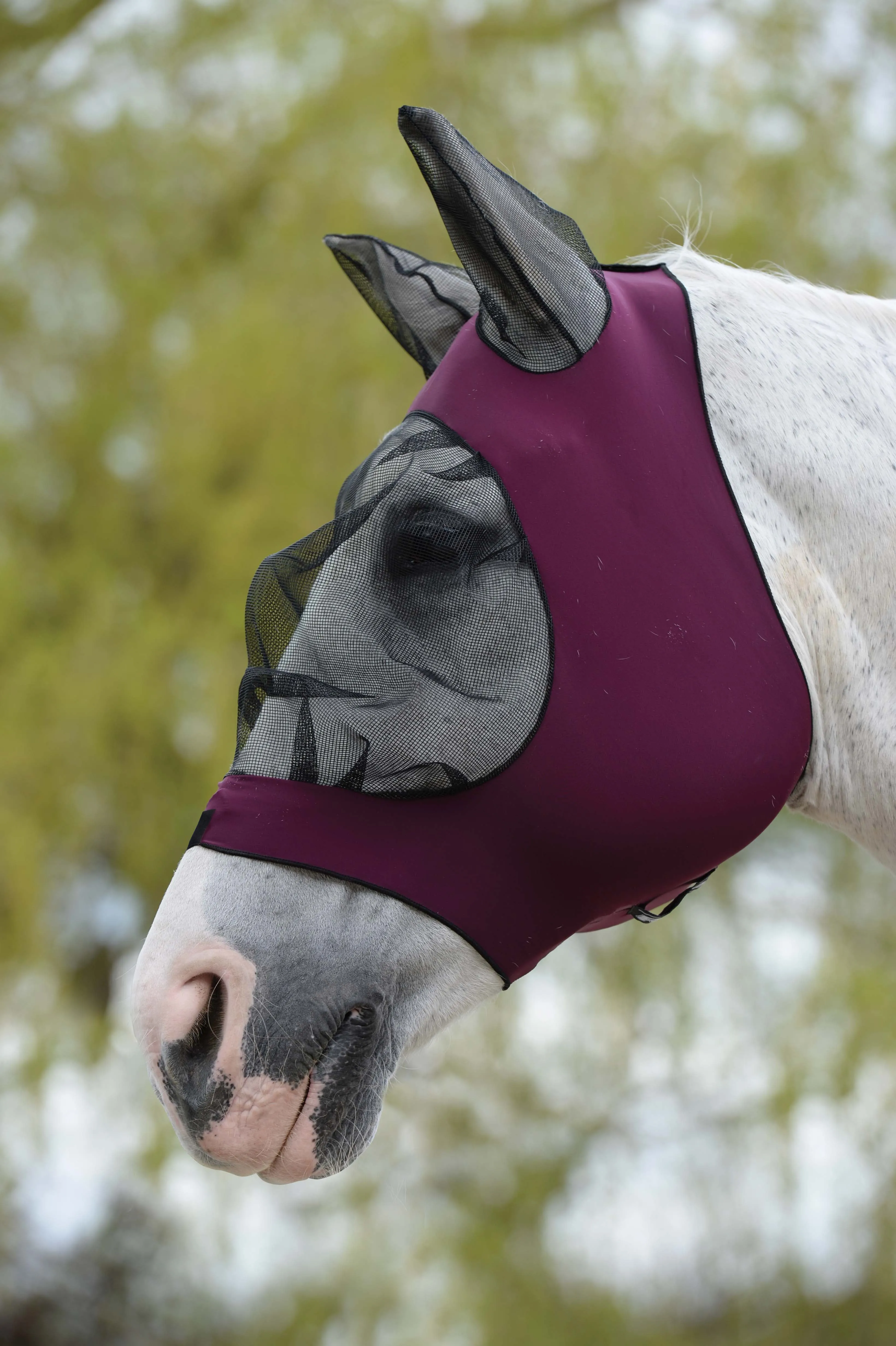 Weatherbeeta Stretch Eye Saver with Ears