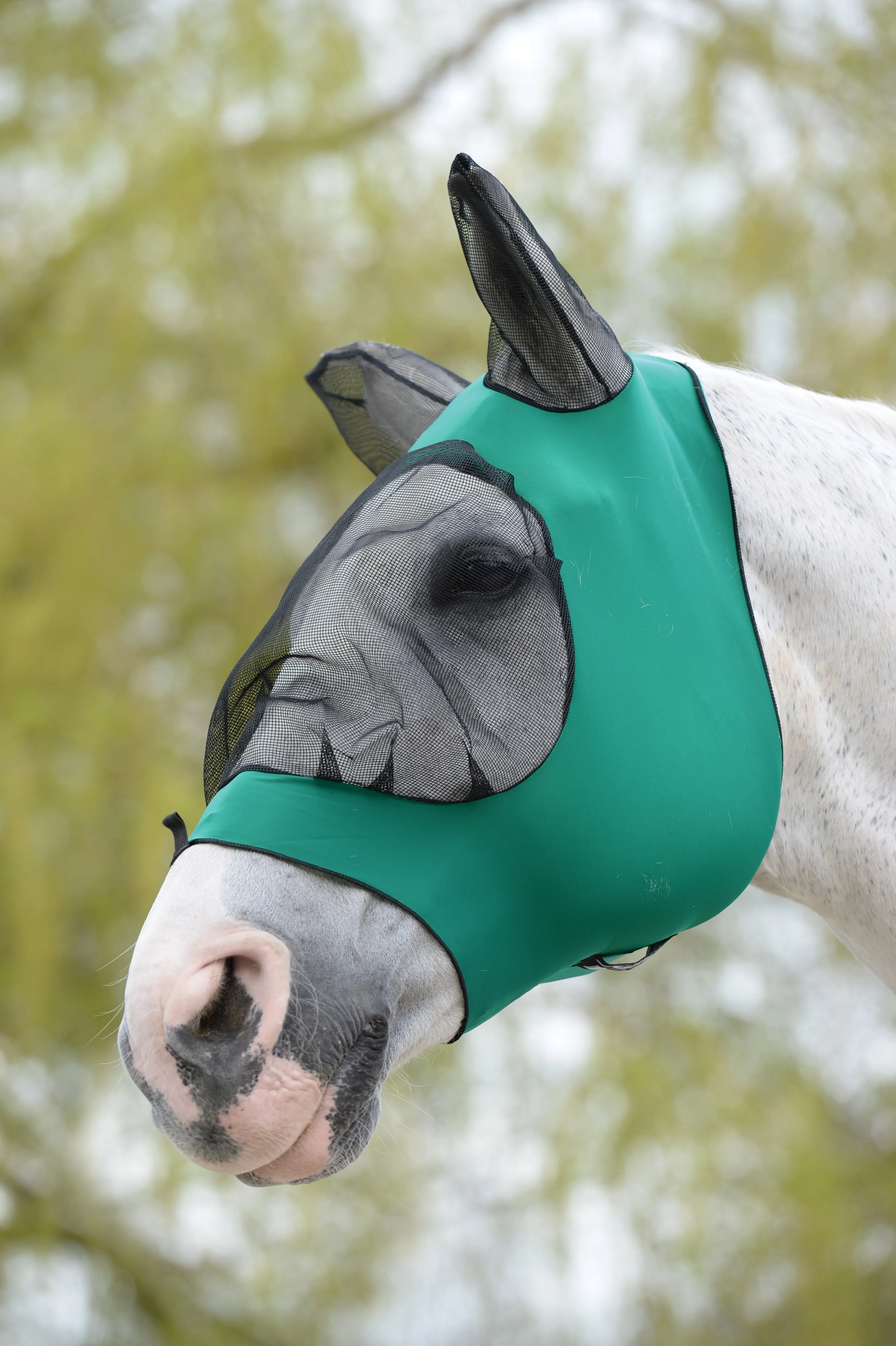 Weatherbeeta Stretch Eye Saver with Ears