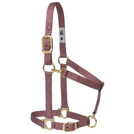 Weaver Basic Adjustable Nylon Halter, 1" Small Horse (Multiple Color Options)
