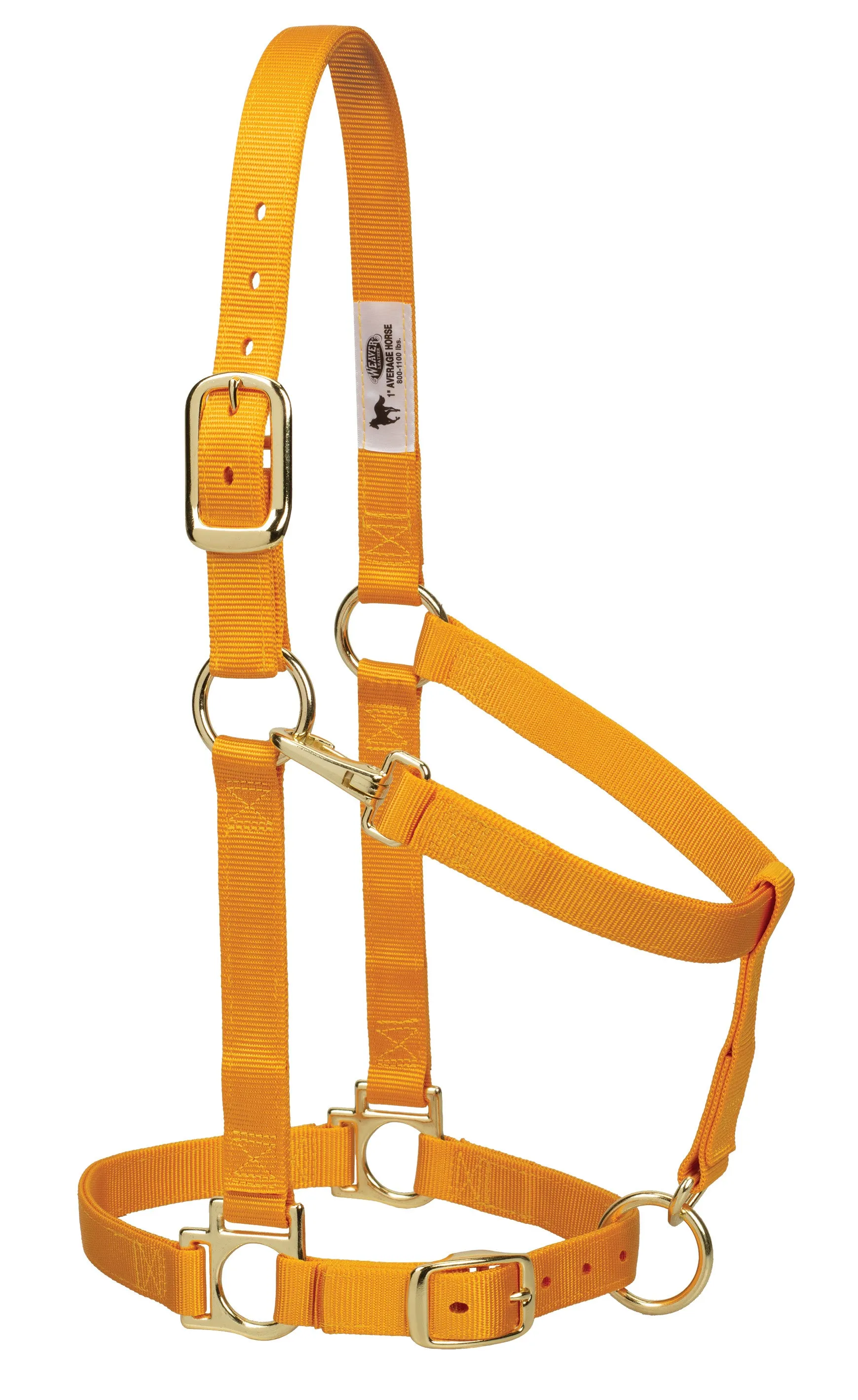 Weaver Basic Adjustable Nylon Halter, 1" Small Horse (Multiple Color Options)