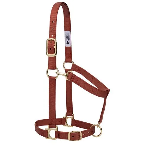 Weaver Basic Adjustable Nylon Halter, 1" Small Horse (Multiple Color Options)