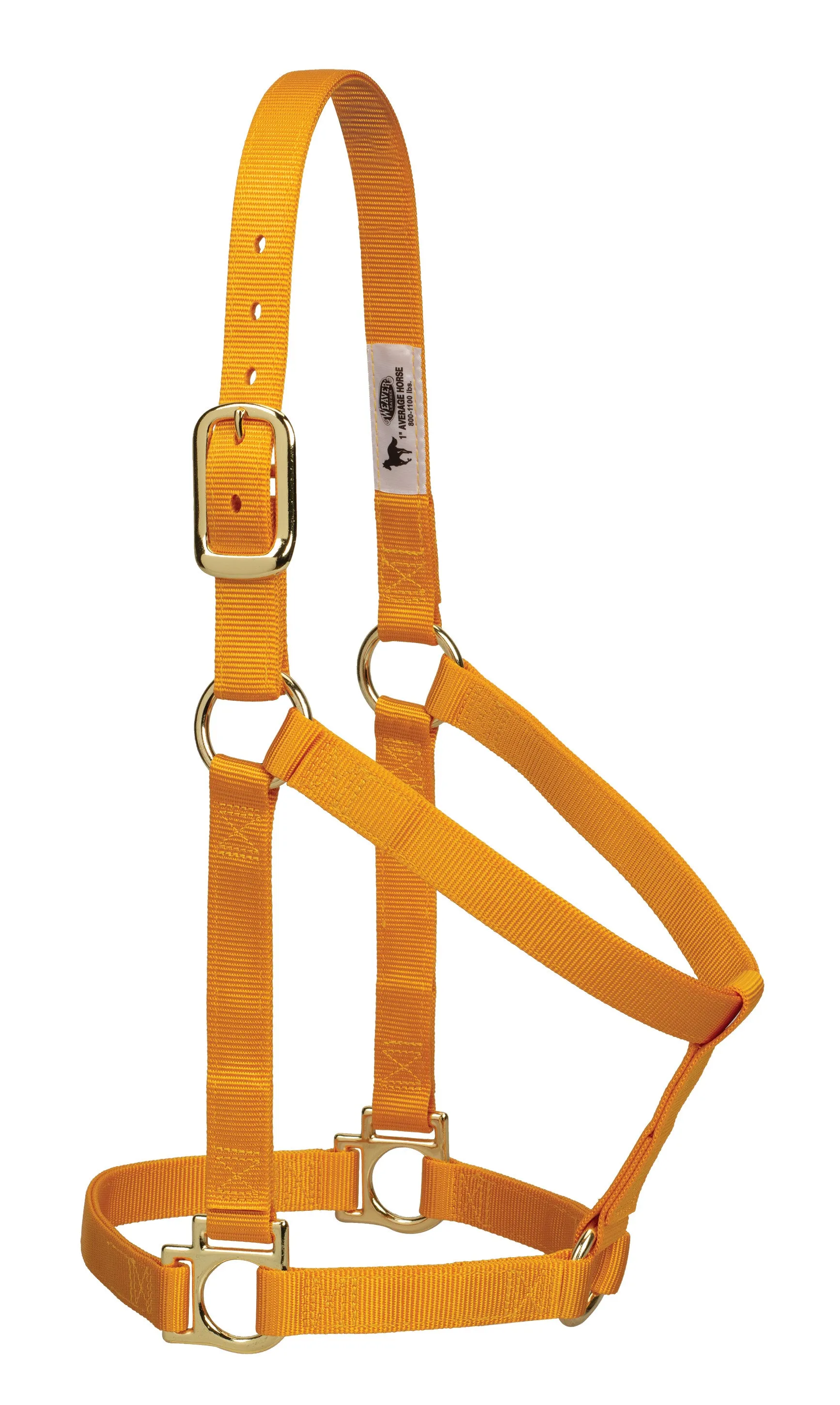 Weaver Basic Non-Adjustable Nylon Halter, 1" Small Horse (Multiple Color Options)