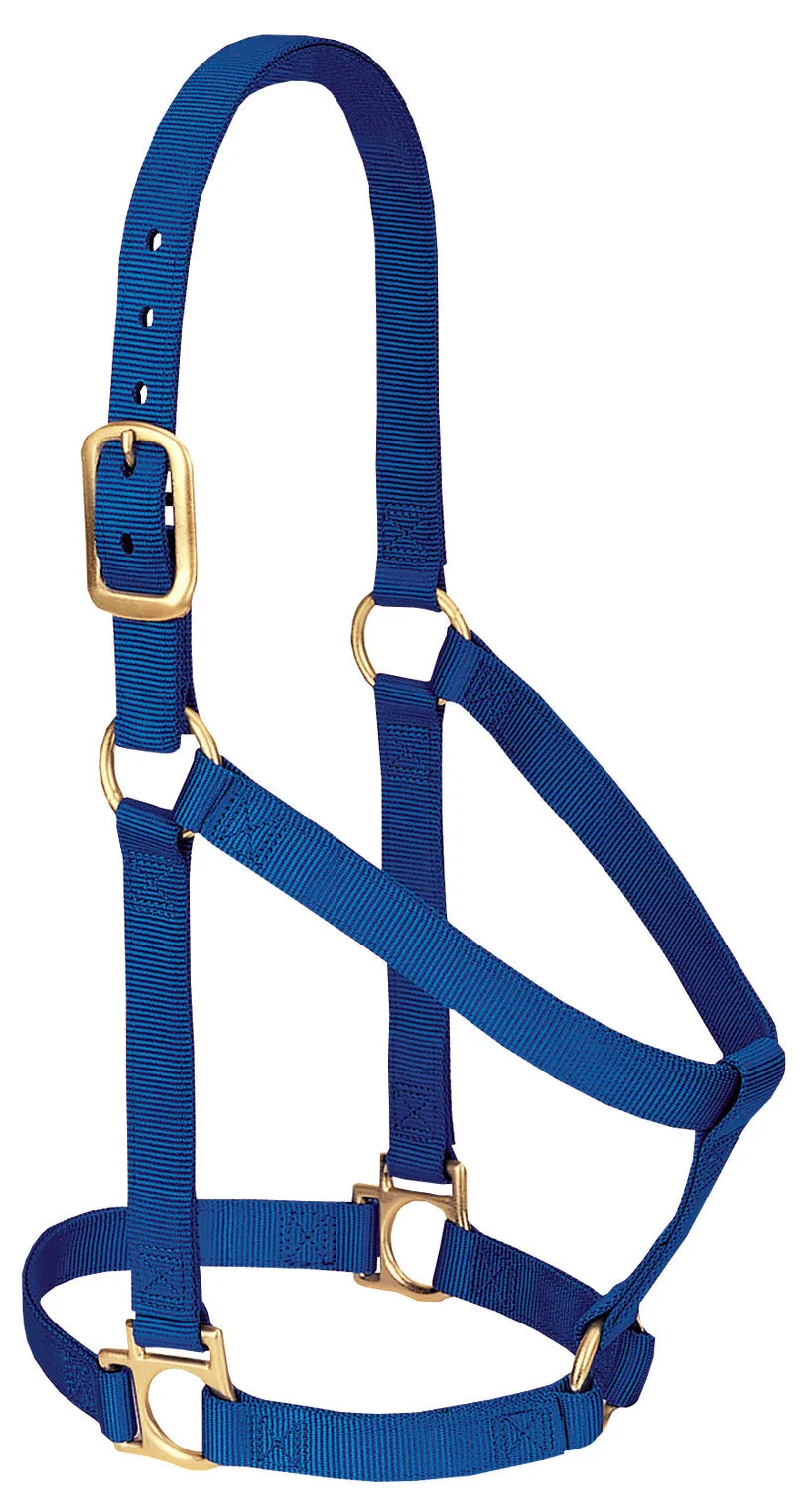 Weaver Basic Non-Adjustable Nylon Halter, 1" Small Horse (Multiple Color Options)