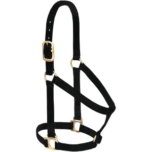 Weaver Basic Non-Adjustable Nylon Halter, 1" Small Horse (Multiple Color Options)