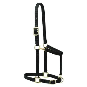 Weaver Leather Nylon Adjustable Draft Horse Halter, 1", Average