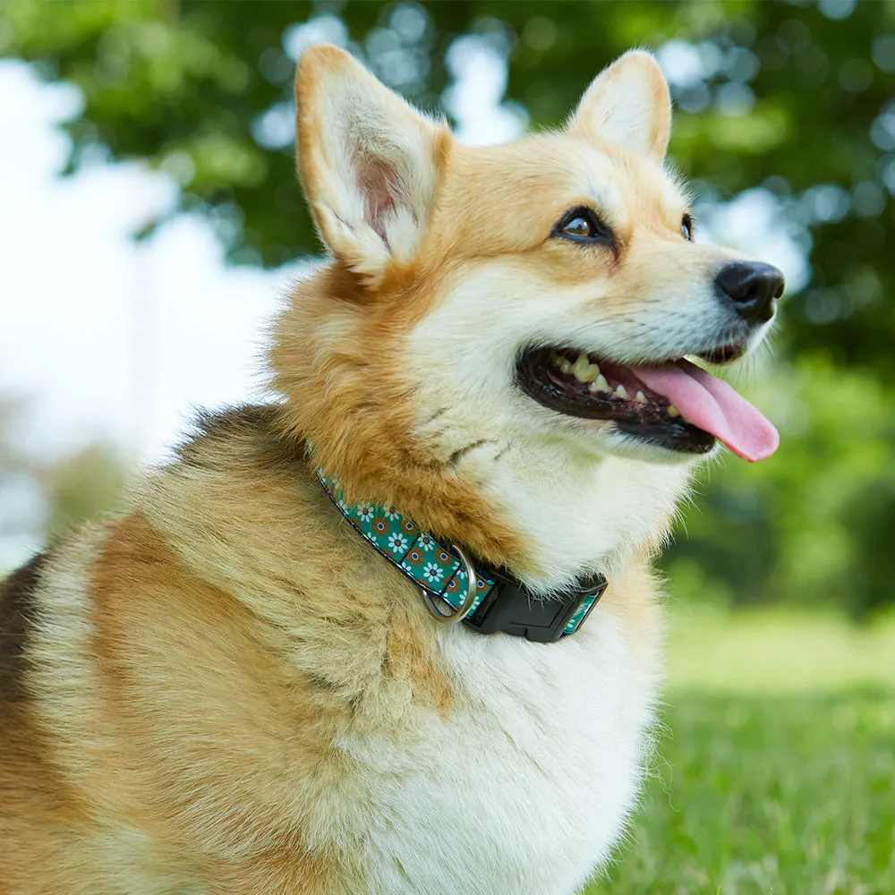 Wiltshire (Liberty Of London) - Dog Collar